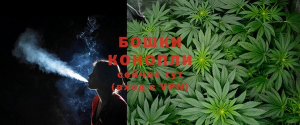 COCAINE Бородино