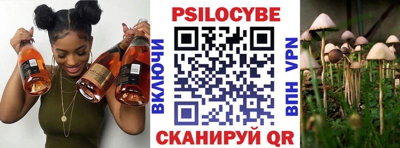 Псилоцибиновые грибы ЛСД  где найти наркотики  Кущёвская 